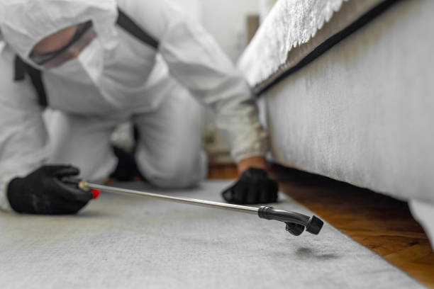 Professional Mosquito Control technician working in Sunset, FL