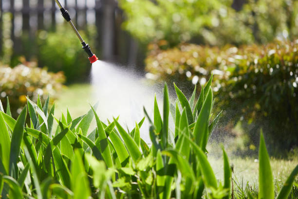 24/7 Emergency Mosquito Control experts in Sunset, FL
